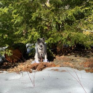 Meet your Posher, Jasmine